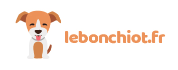 Lebonchiot.fr