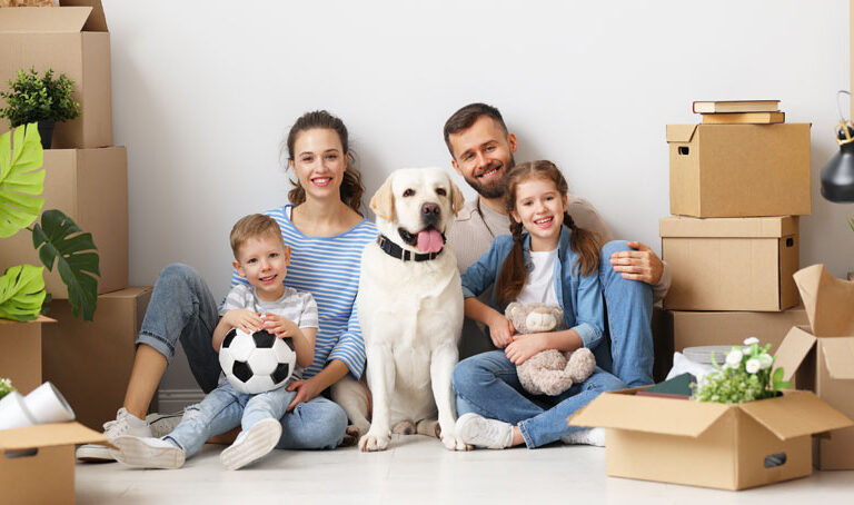 chien en appartement