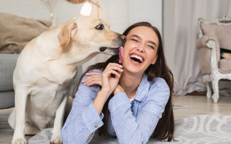 pourquoi-mon-chien-me-lèche