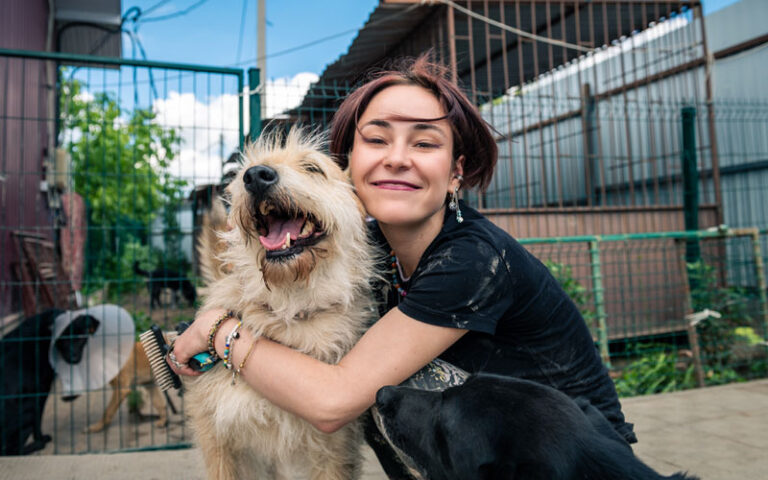 seconde-chance-chien